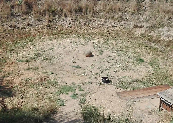 אתר קמפינג Ecostay De Wildernis Wilp